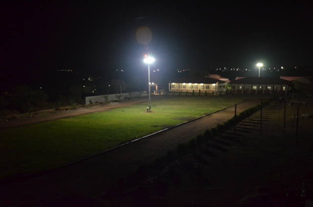 Plants: image 9 0f 21 thumb